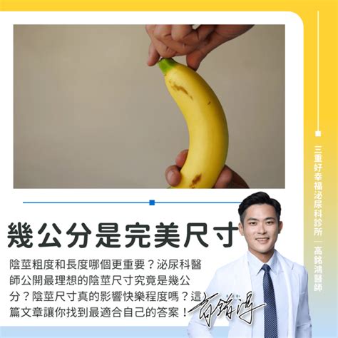 生殖器長|粗度與長度哪個比較重要？泌尿科醫師：最理想的陰莖。